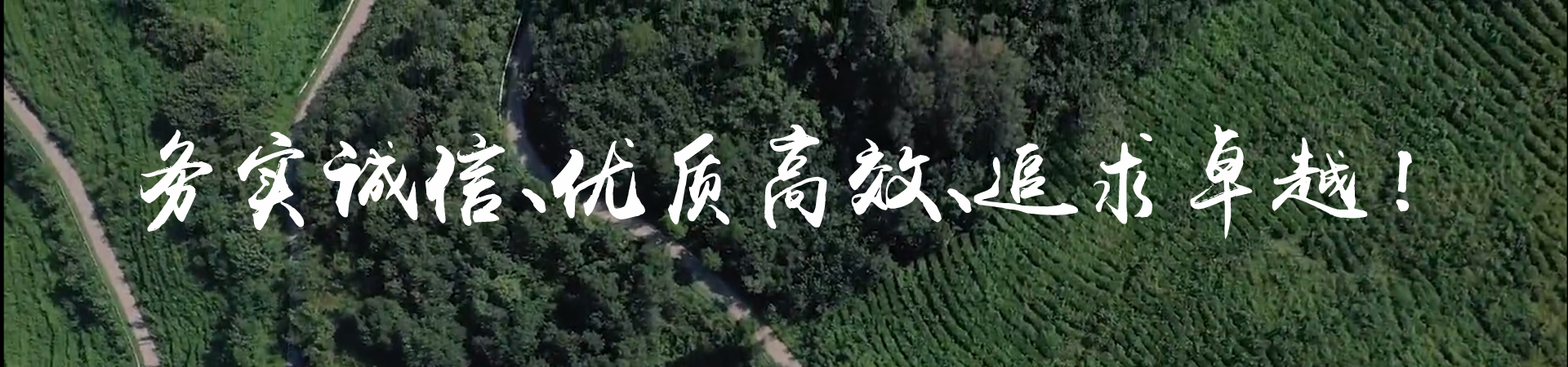 公司簡介